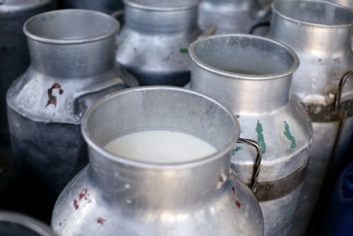 Milk cans at Ol Kalou Dairy Plant, Kenya (photo credit: ILRI/Paul Karaimu).